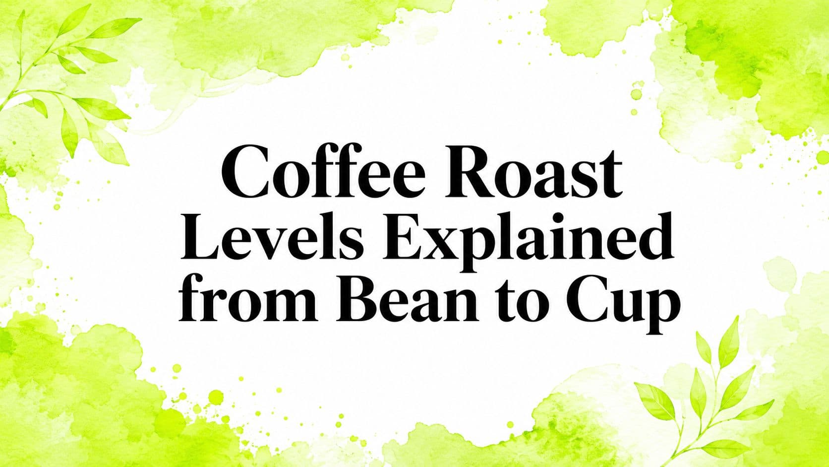 Coffee Roast Levels Explained from Bean to Cup
